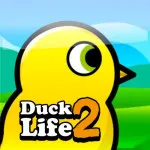 Duck Life 2